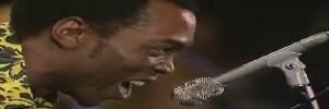 Gentleman - Fela