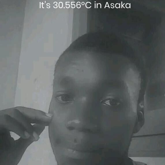 nicholasbossman7